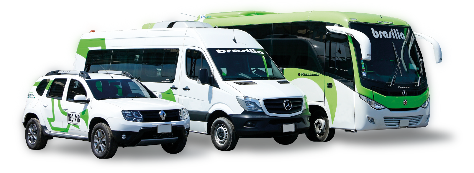buses